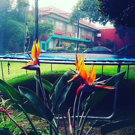 Hotel Las Fumarolas De Don Goyo Cholula Εξωτερικό φωτογραφία